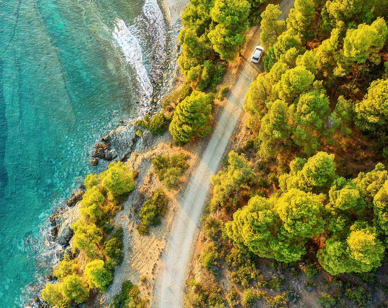 car-in-nature